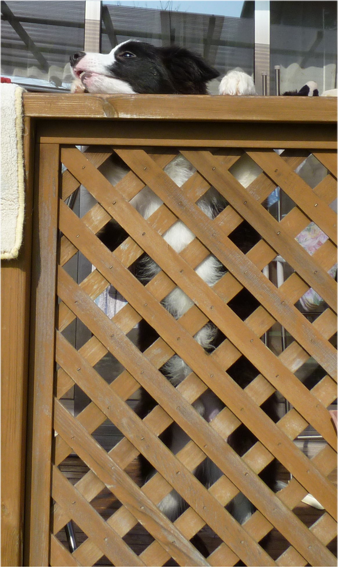P1000674.jpg