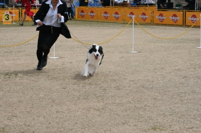 IMG_4806.JPG