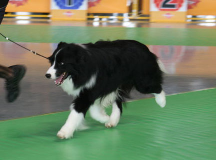 3662768_1677575455_17large.jpg