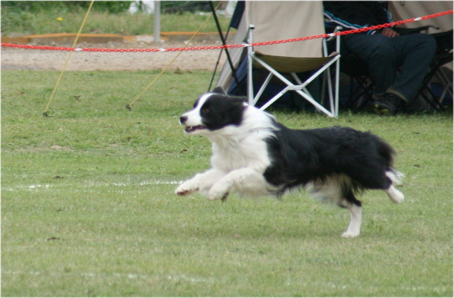 IMG_4293.JPG