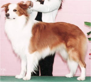 Scan10001.jpg