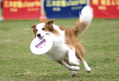 DSC07503-1.jpg