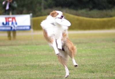 DSC07506-1.jpg