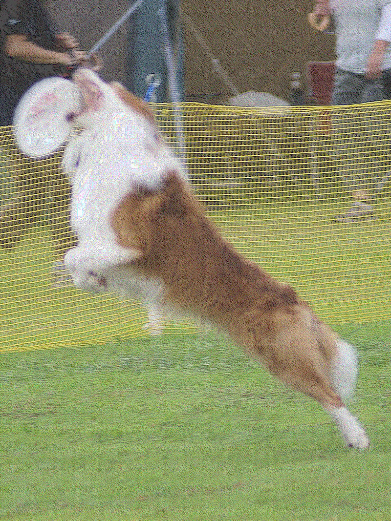 DSC07606-1.jpg