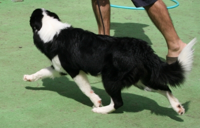 IMG_6018.jpg