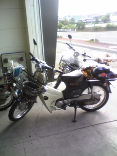 フェラーリ