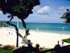 image00.jpg
