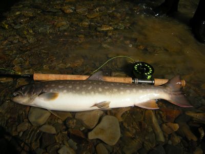 北海道の釣り_フィッシングガイドサービス_渓流から湖まで