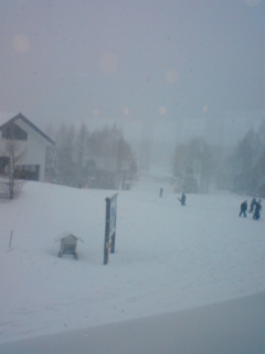 雪だ雪だうーれしーいなー 濃縮うらん235