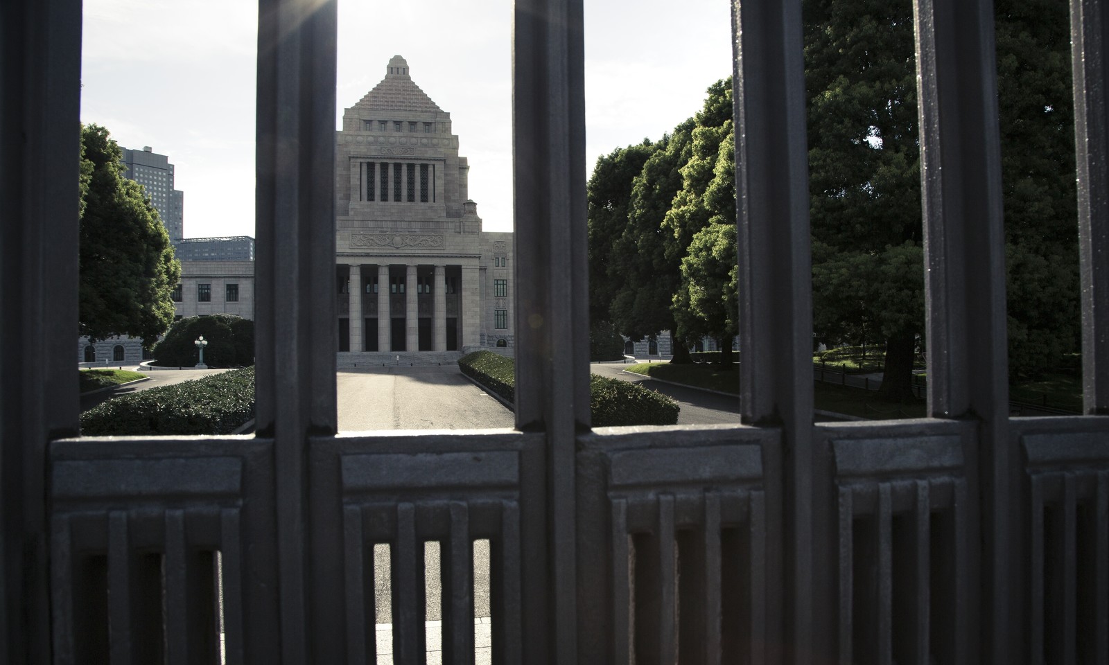 国会議員選挙