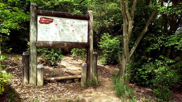 IMAG0012.jpg