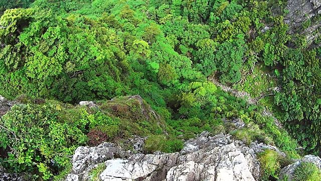 事故に注意したい西の覗