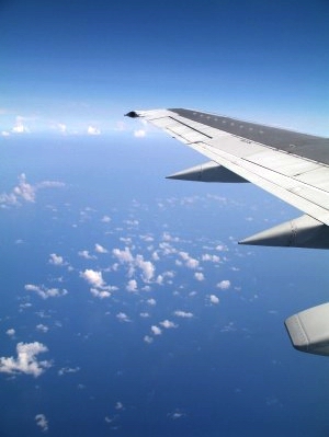 島に飛ぶ