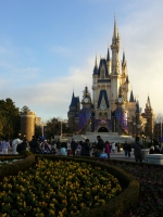 TDL