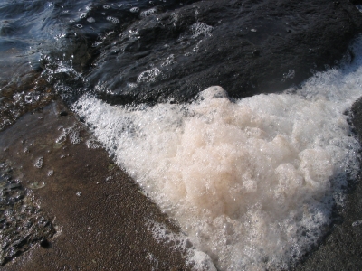 合成洗剤の泡 海