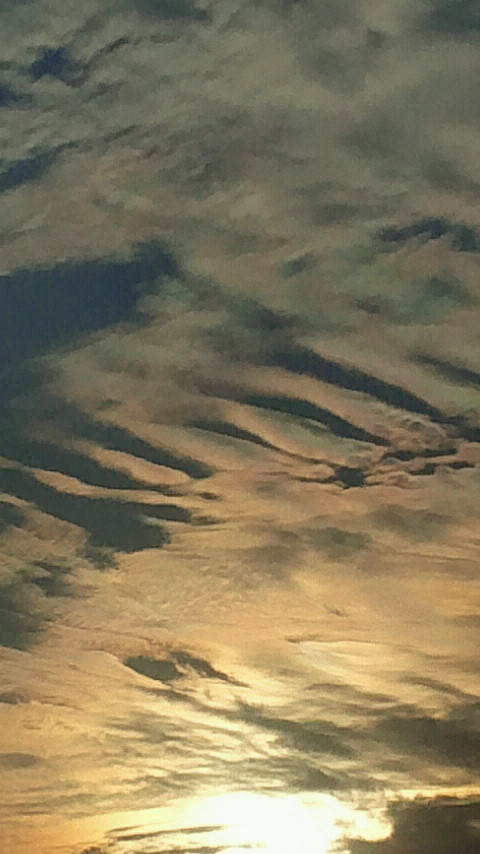 2014063018230000.jpg