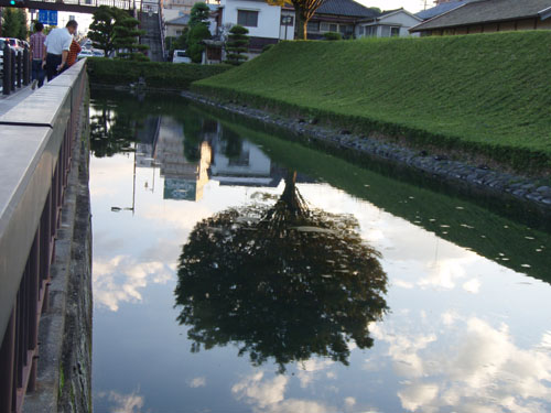 10_1128-7.jpg