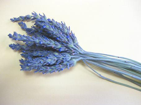 stick9