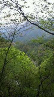 201105221043000.jpg
