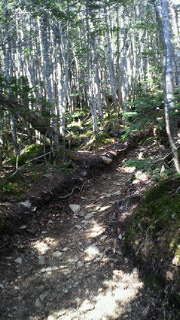 201106041524000.jpg