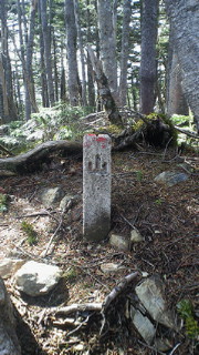 201106041526000.jpg