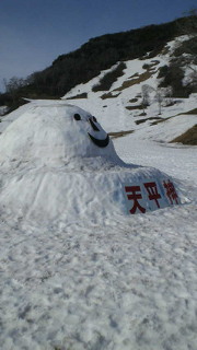 201205200732000.jpg