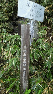 201206030851000.jpg