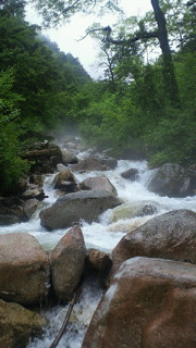 201207141329000.jpg