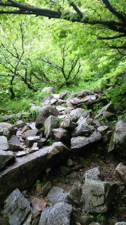 201207141532000.jpg