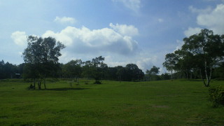 201208041448001.jpg