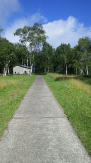 201208050801000.jpg