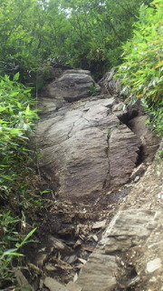 201208051014000.jpg