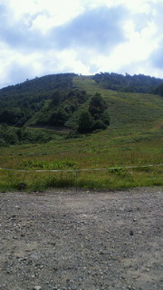 201209011306000.jpg