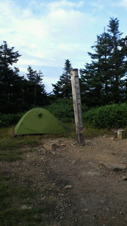 201209011734000.jpg