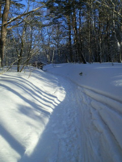 201302170746000.jpg