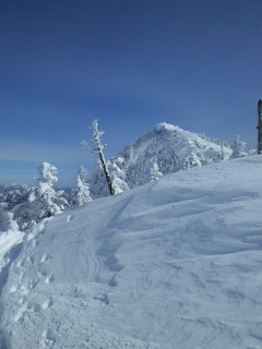 201302171139000.jpg