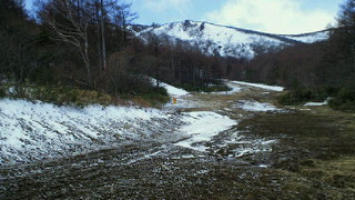201304130842001.jpg
