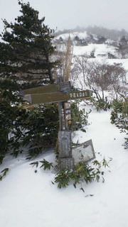 201304131019000.jpg