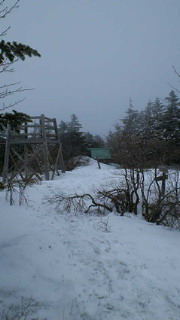 201304271357000.jpg