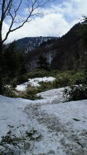 201304271205000.jpg