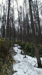201304271145000.jpg