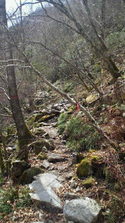 201304271046000.jpg