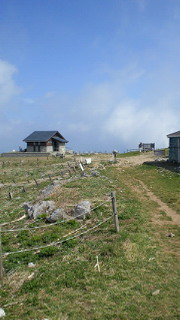 201305180907000.jpg