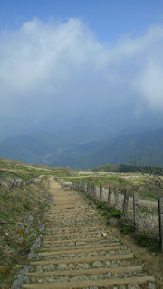 201305180851000.jpg
