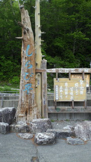 201306081016000.jpg