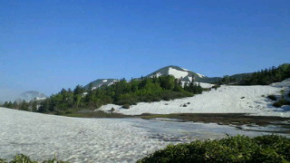 201306300645001-1.jpg