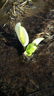201306291638000.jpg