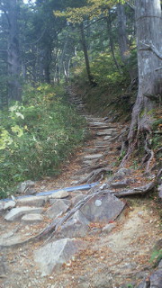 201310120929000.jpg