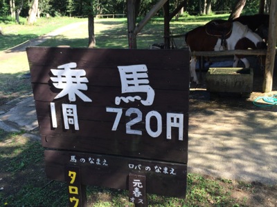 th_IMG_2933.jpg