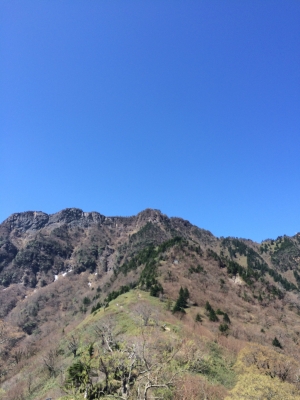 IMG_4349.jpg